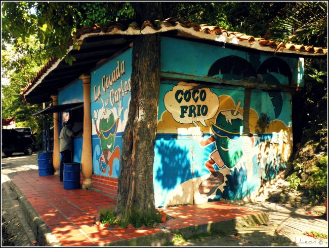 lugares de cocadas en Caracas