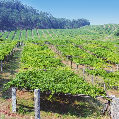 Nordés Atlantic Galician Gin