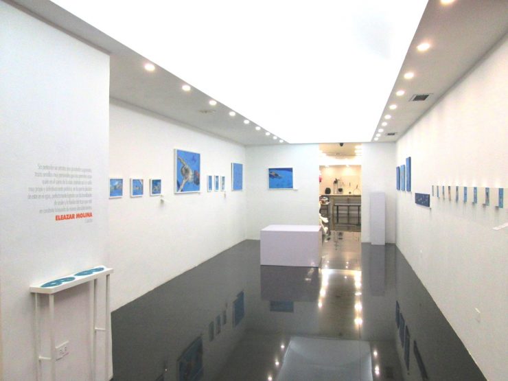 EXPOSICIÓN EN ISKIA