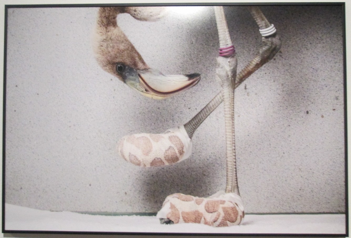 World-Press-Photo-2019