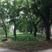 parques y áreas verdes Municipio Chacao