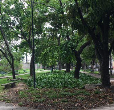 parques y áreas verdes Municipio Chacao