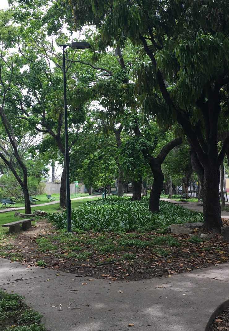 parques y áreas verdes Municipio Chacao