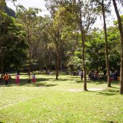parques de Baruta y El Hatillo