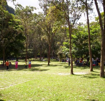 parques de Baruta y El Hatillo
