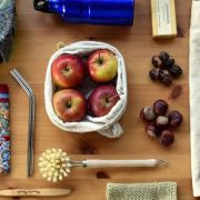 Caraqueño ecológico