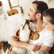 ¿Qué hacer con nuestras mascotas en cuarentena?