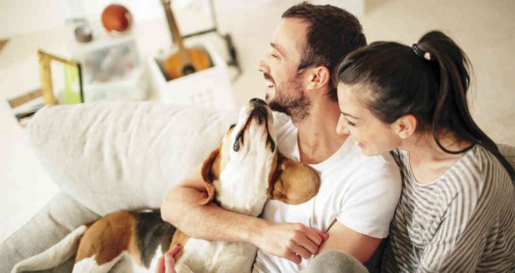 ¿Qué hacer con nuestras mascotas en cuarentena?