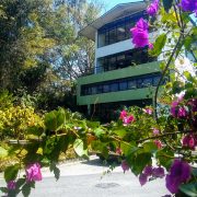 Escuela Nacional de Cine