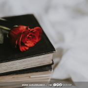 Día Internacional del Libro