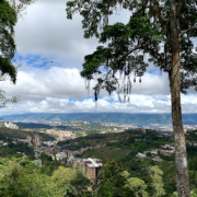 Experiencia Samambaya