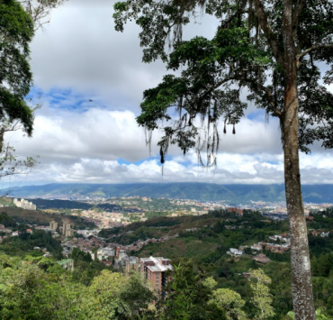 Experiencia Samambaya