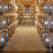 Elíxires que han conquistado el mundo: Los rones venezolanos