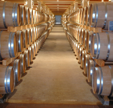 Elíxires que han conquistado el mundo: Los rones venezolanos