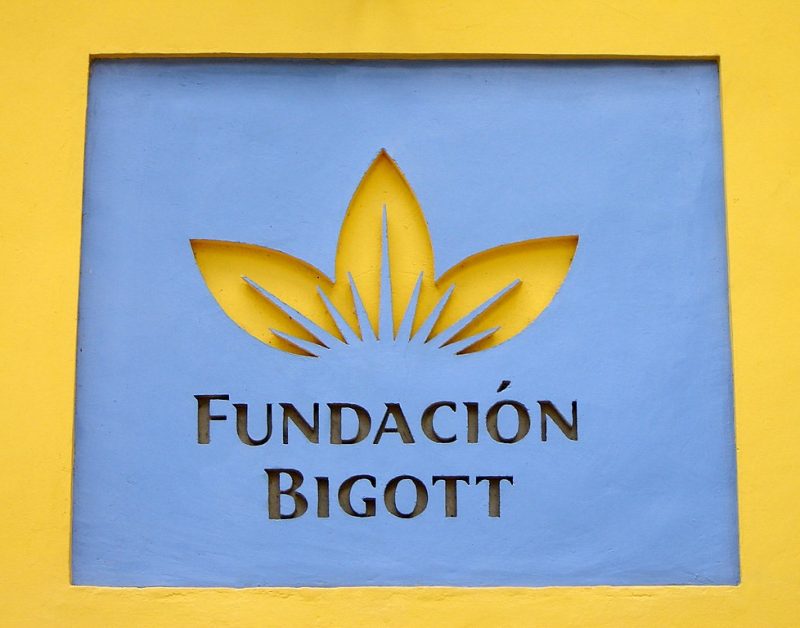 3er ciclo de talleres en línea ofrece Fundación Bigott en su 40