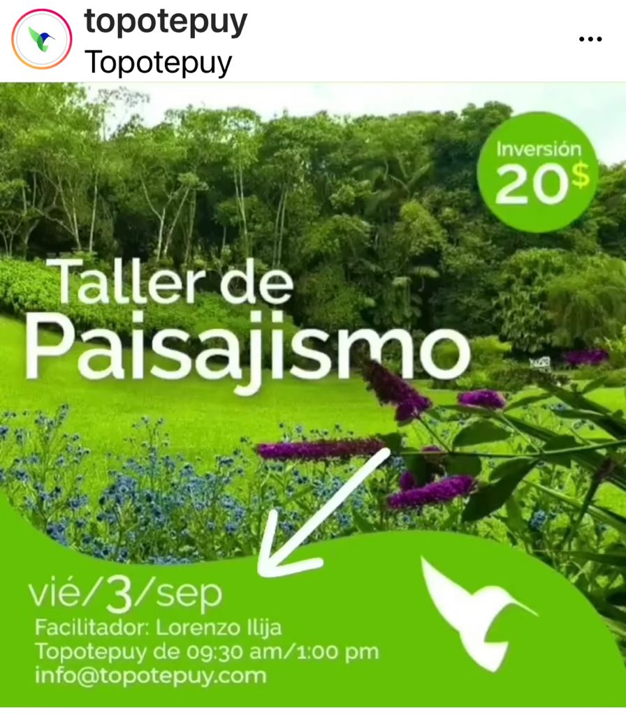 Taller de Paisajismo