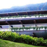 González Gorrondona