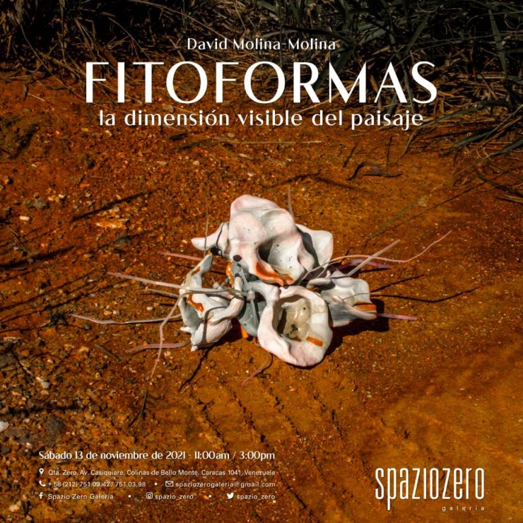 FITOFORMAS