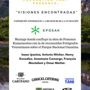 Visiones Compartidas